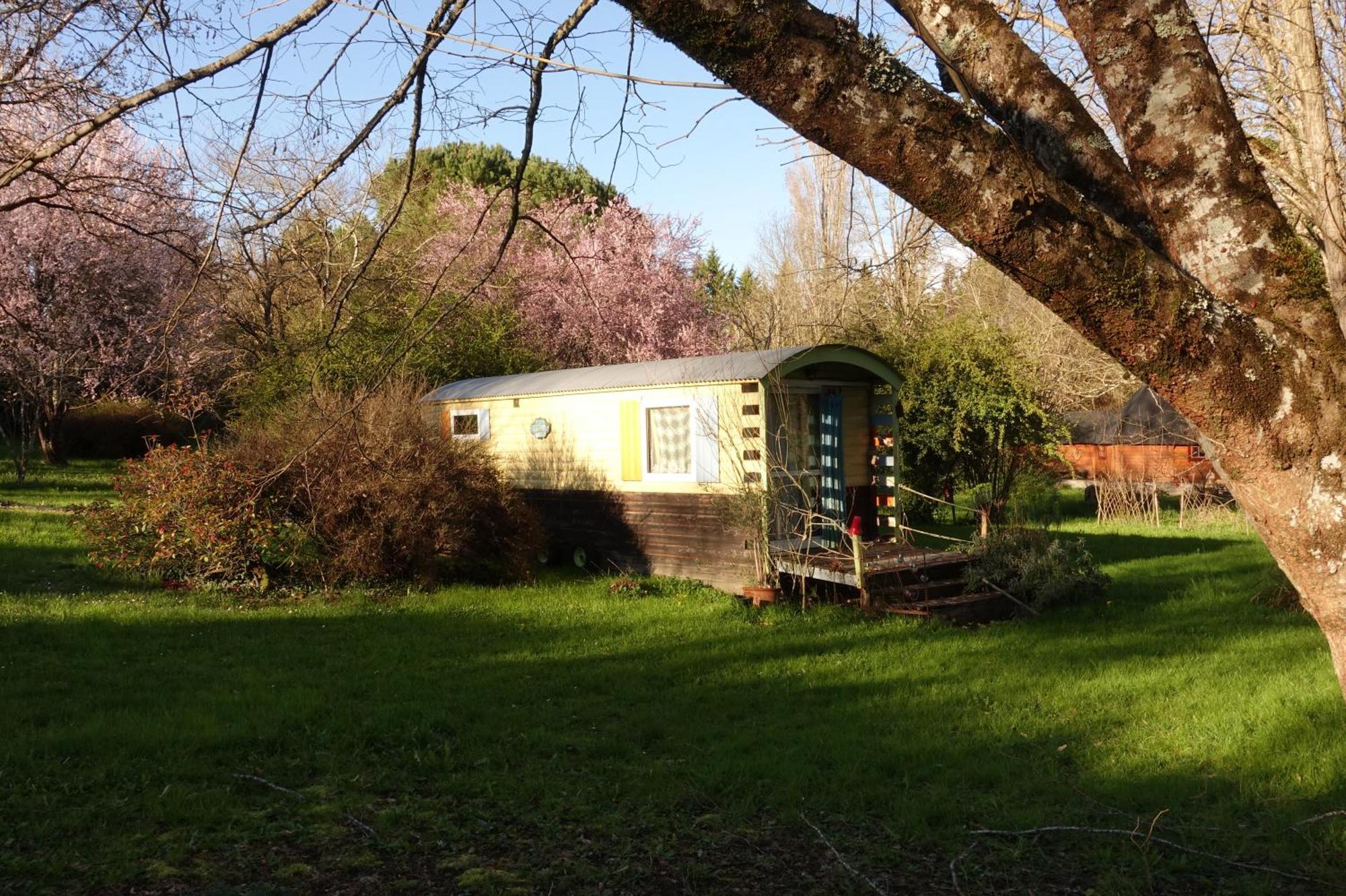 Graines De Nature - Ecolodges Insolites Saint-Eutrope-de-Born 외부 사진